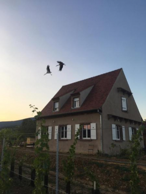 La Clé du Vignoble